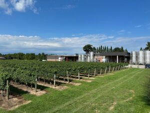 Niagara Fälle – Lake Erie – Ohio 320 km