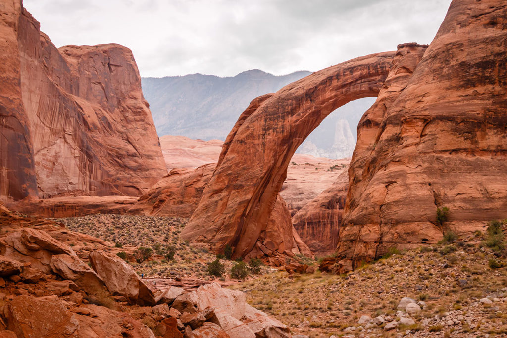 Natural Bridges Nat. Monument – Capitol Reef Nationalpark 340 km