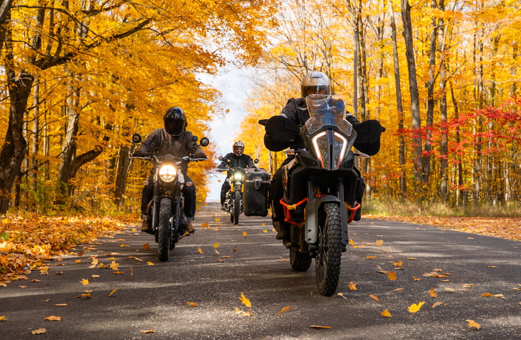 Biker im herbstlichen Wald